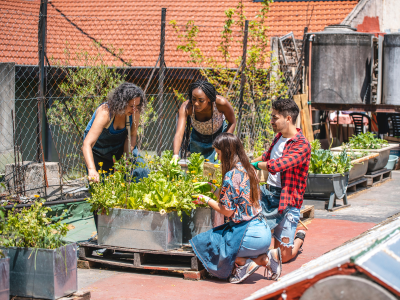 L’été arrive, les jardins partagés aussi !