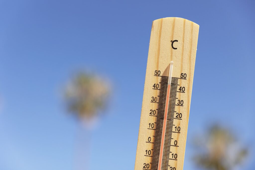 Canicule : tous les bons gestes à adopter pour se protéger